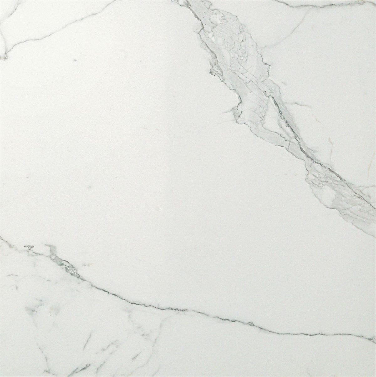 Керамогранит Atlas Concorde Italy Marvel Calacatta Extra Lappato 60x60 Белый
