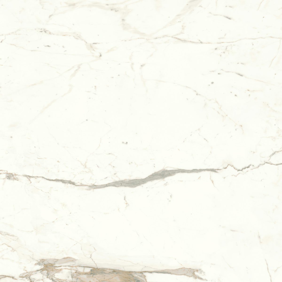 Calacatta Prestigio Matt. 120x120 Atlas Concorde Italy Marvel Shine A4Q5