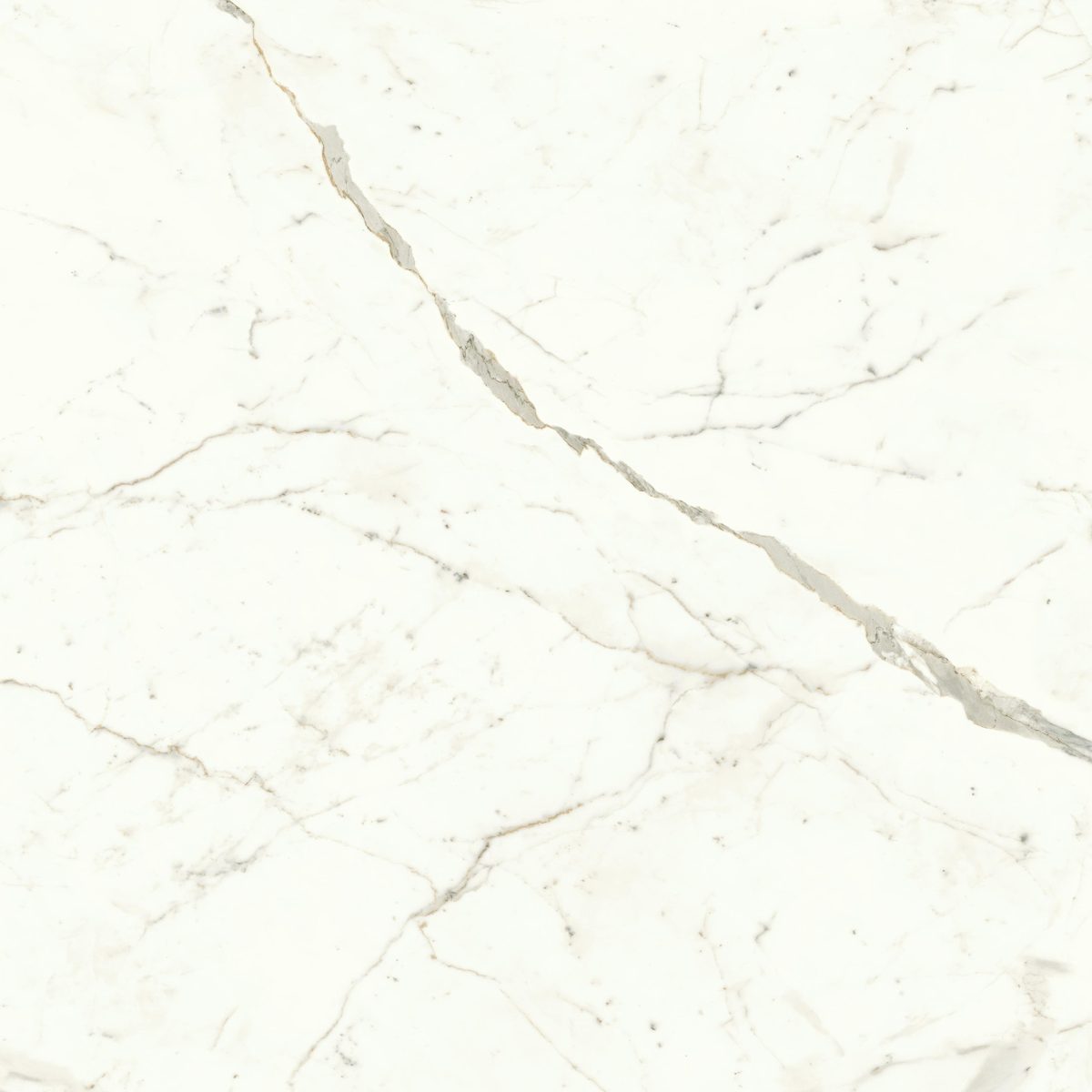 Calacatta Prestigio Matt. 120x120 Atlas Concorde Italy Marvel Shine A4Q5, фото 6