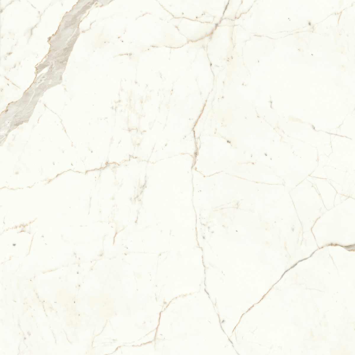 Керамогранит Atlas Concorde Italy Marvel Shine Marvel Calacatta Prestigio Lapp 120x120 Белый