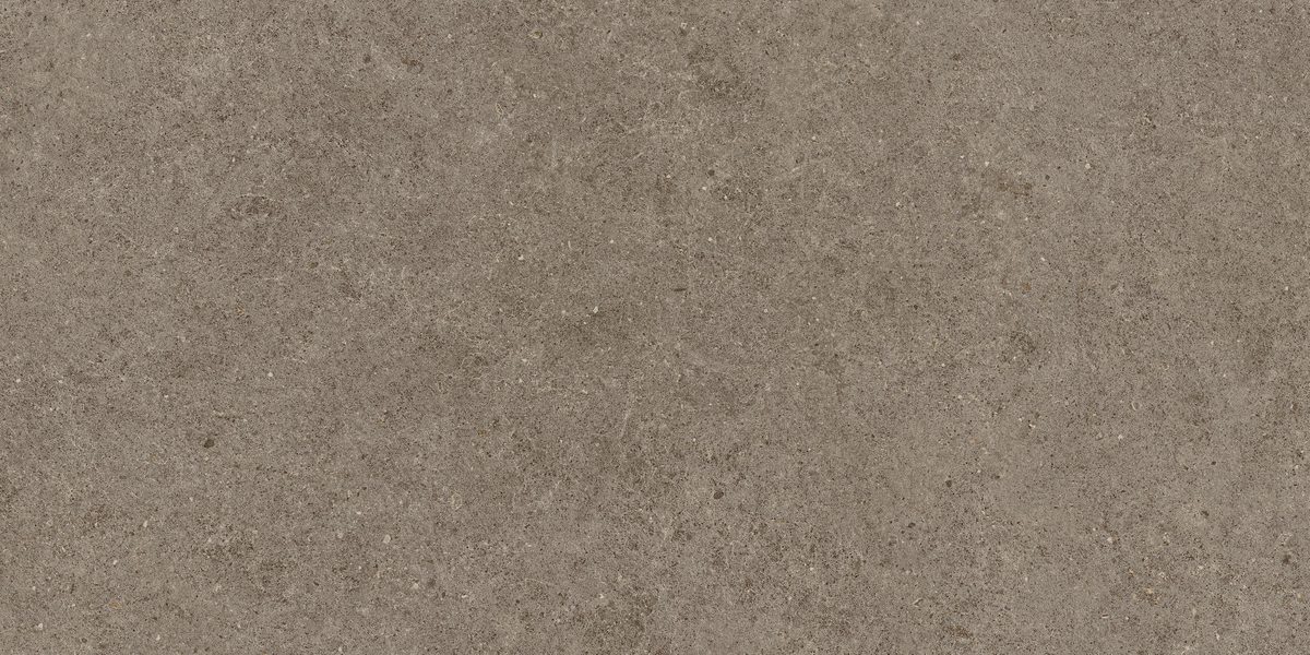 Керамогранит Atlas Concorde Italy Boost Stone Taupe 60x120 Коричневый