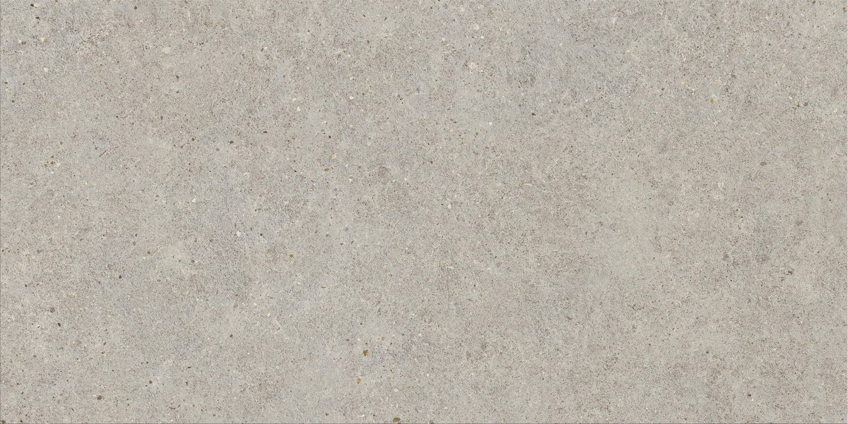 Керамогранит Atlas Concorde Italy Boost Stone Pear 60x120 Серый, фото 3