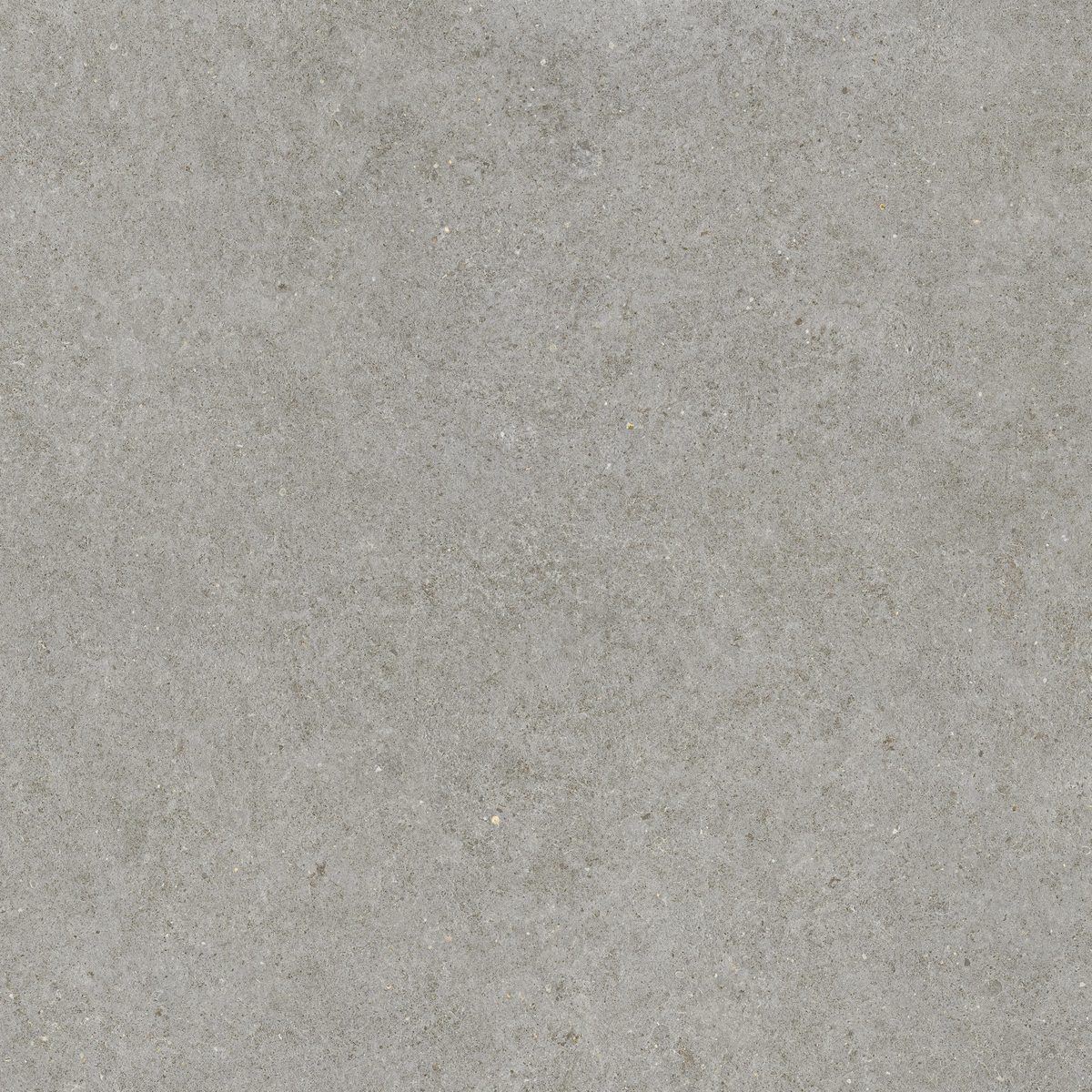 Керамогранит Atlas Concorde Italy Boost Stone Grey 120x120 Серый