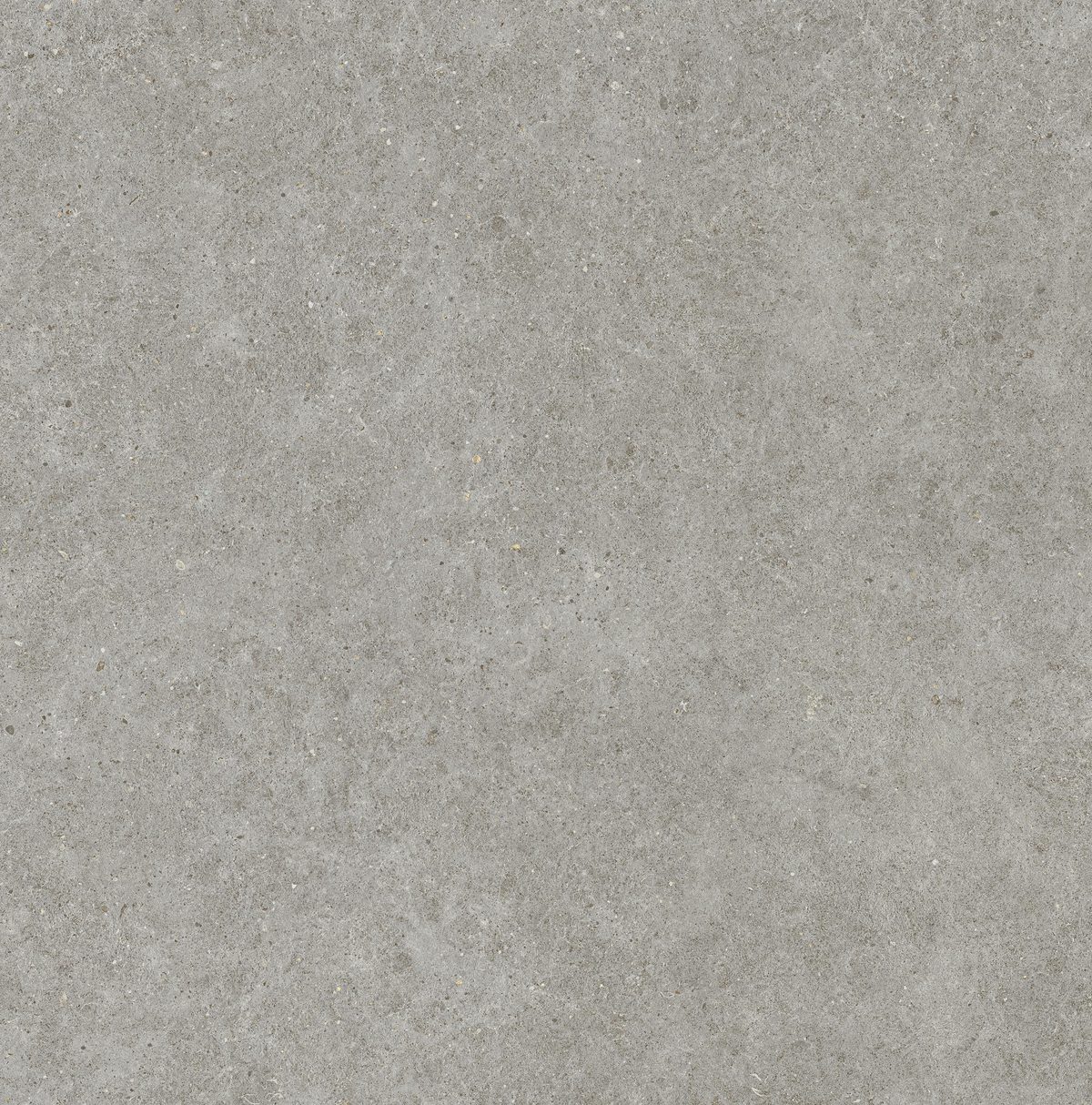 Керамогранит Atlas Concorde Italy Boost Stone Grey 120x120 Серый, фото 6