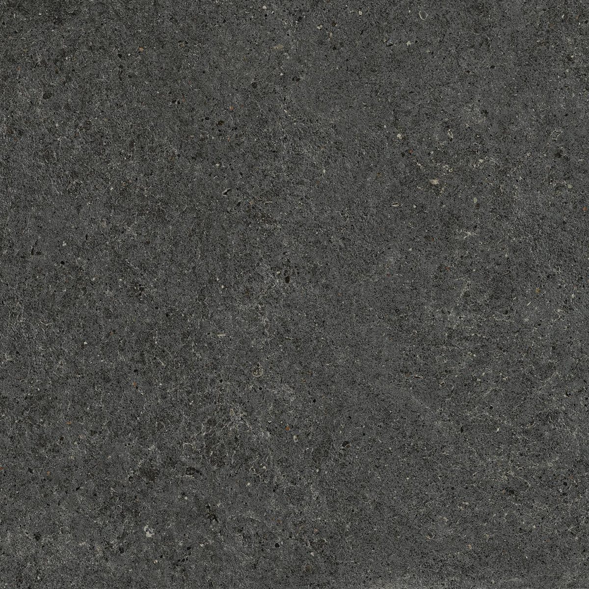 Керамогранит Atlas Concorde Italy Boost Stone Tarmac 60x60 Черный, фото 3