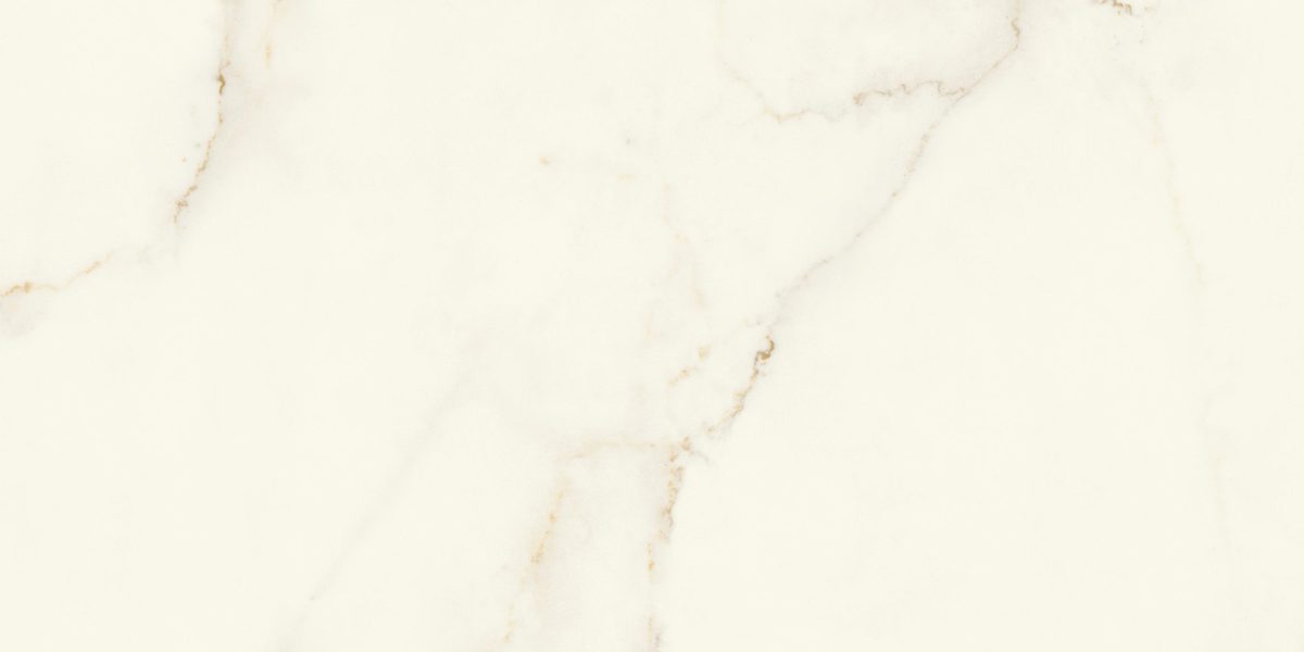 Керамогранит Atlas Concorde Italy Marvel X Marvel Calacatta Apuano Lappato 60x120 Белый