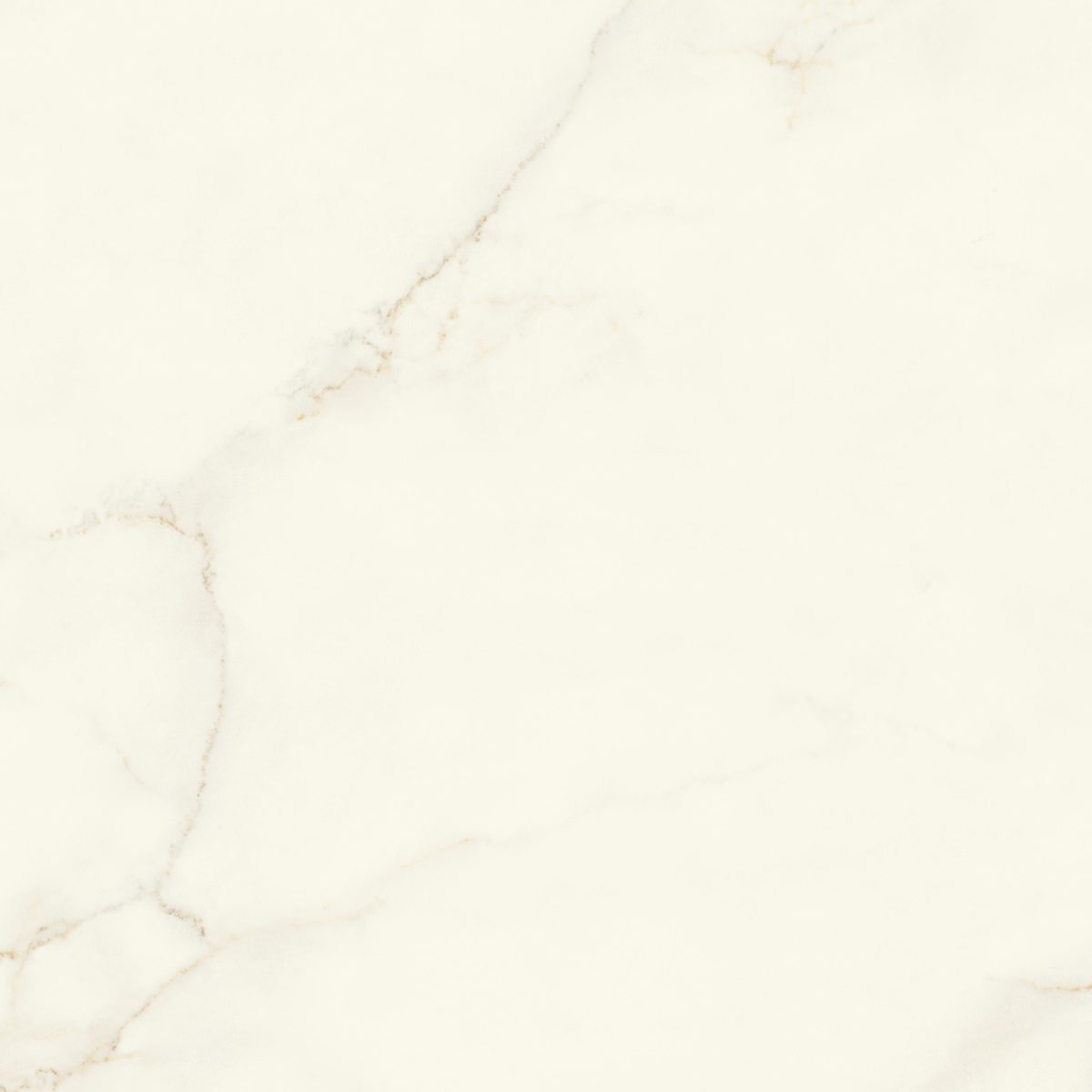 Керамогранит Atlas Concorde Italy Marvel X Marvel Calacatta Apuano Silk 120x120 Белый