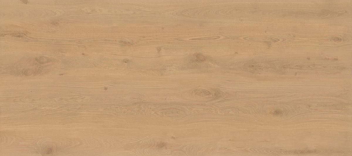 Керамогранит Atlas Concorde Italy Log Icon Oak mat 6mm 120x278 Бежевый, фото 7
