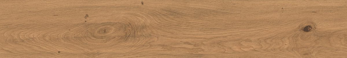 Керамогранит Atlas Concorde Italy Log Amber Oak 20x120 Бежевый