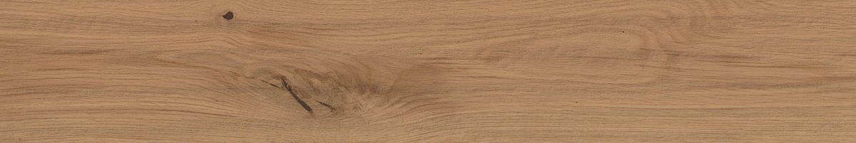 Керамогранит Atlas Concorde Italy Log Deep Oak Forest 20x120 Бежевый