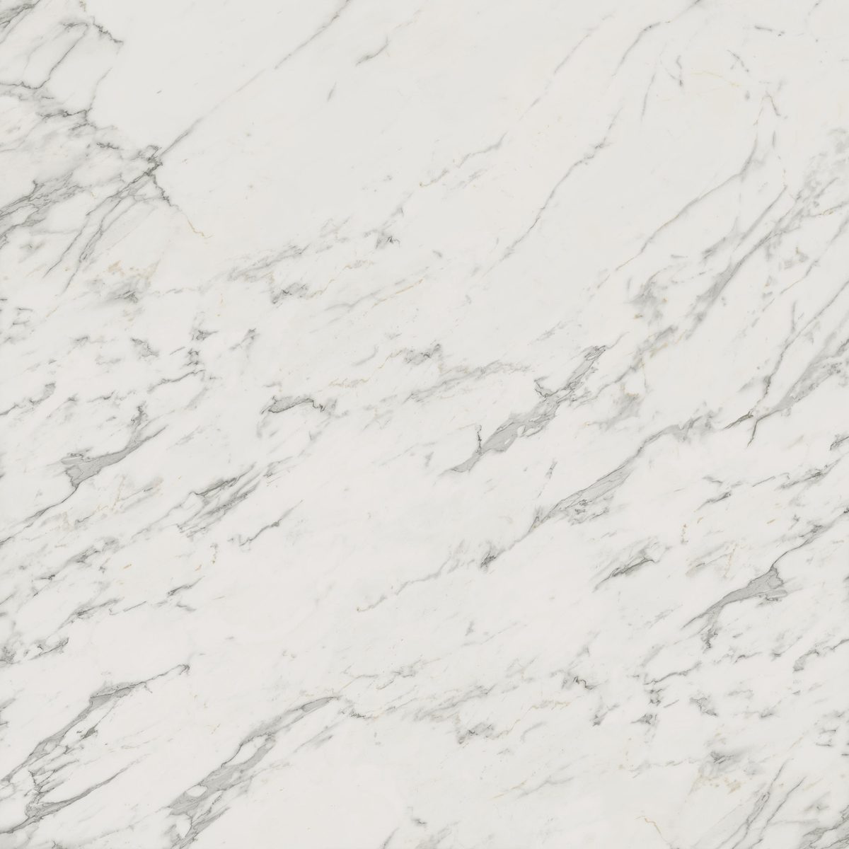 Керамогранит Atlas Concorde Italy Marvel Calacatta Extra Lappato 120x120 Белый