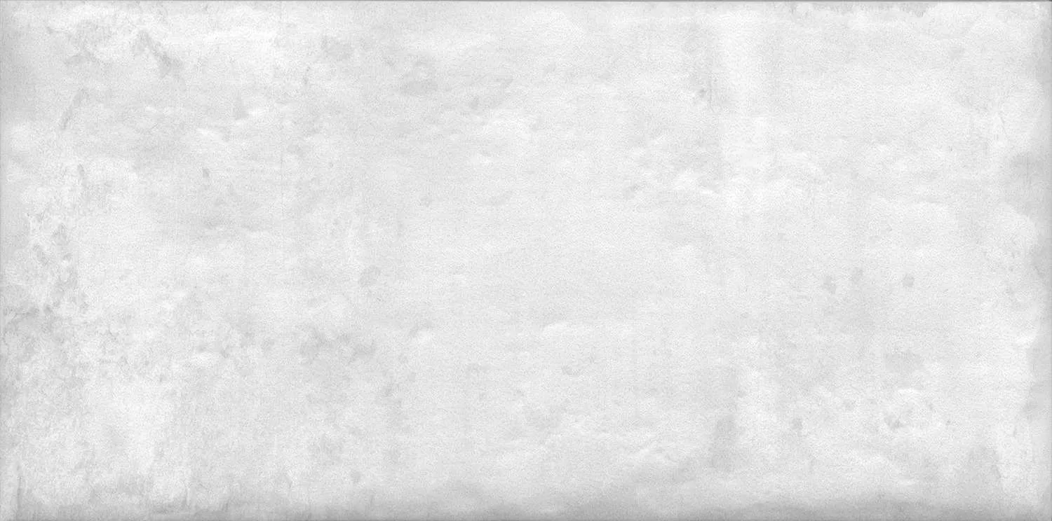 Керамическая плитка Kerama Marazzi Граффити серый светлый 20x9,9 Серый