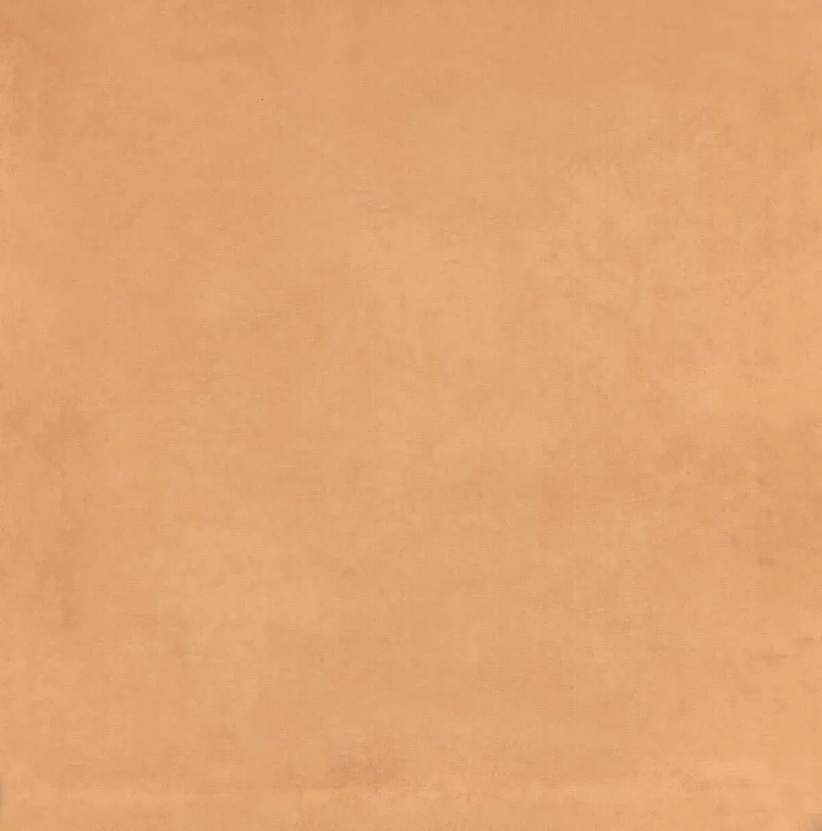 Керамическая плитка Kerama Marazzi Капри оранжевый20х20 Оранжевый