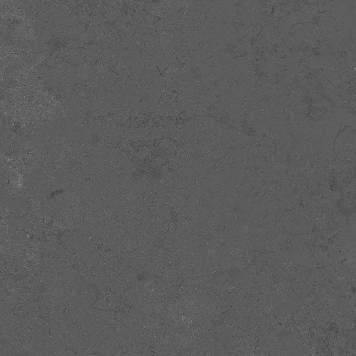 Керамогранит Kerama Marazzi Лаймстоун Про серый темный натуральный обрезной 60х60 Серый