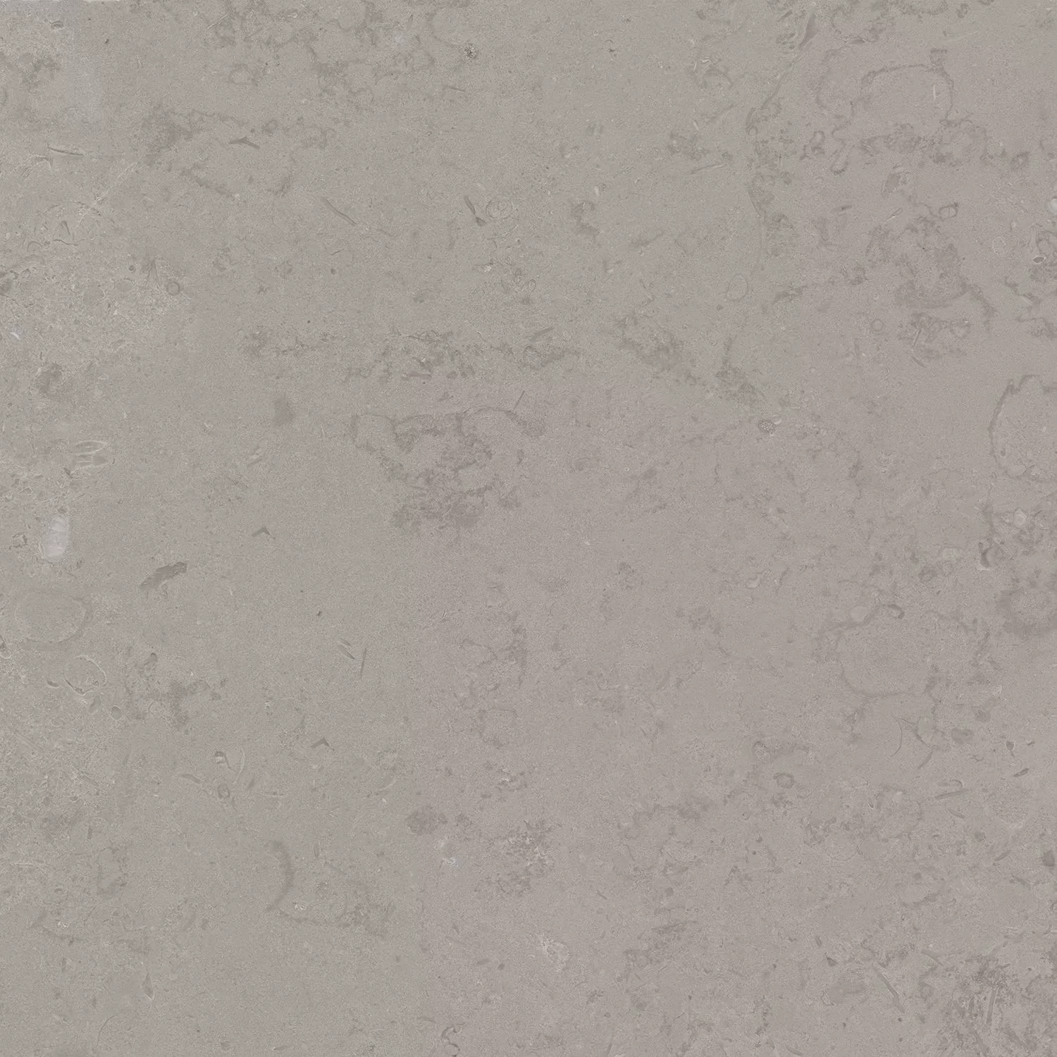 Керамогранит Kerama Marazzi Лаймстоун Про серый натуральный обрезной 60х60 Серый