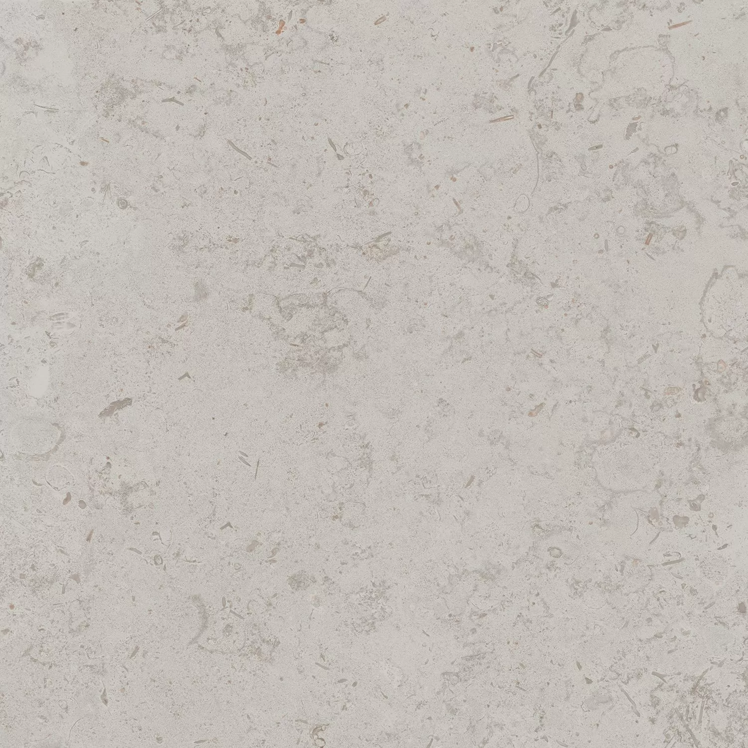 Керамогранит Kerama Marazzi Лаймстоун Про серый светлый натуральный обрезной 60х60 Серый