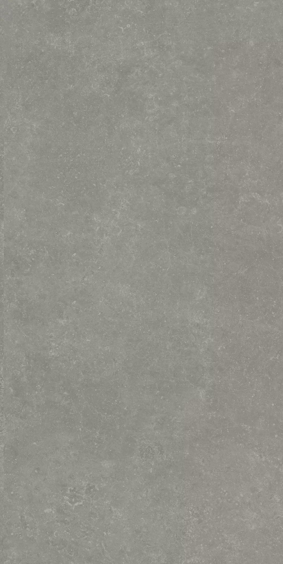 Керамогранит Kerama Marazzi Касабланка RP серый матовый обрезной 60x119,5x0,9 Серый