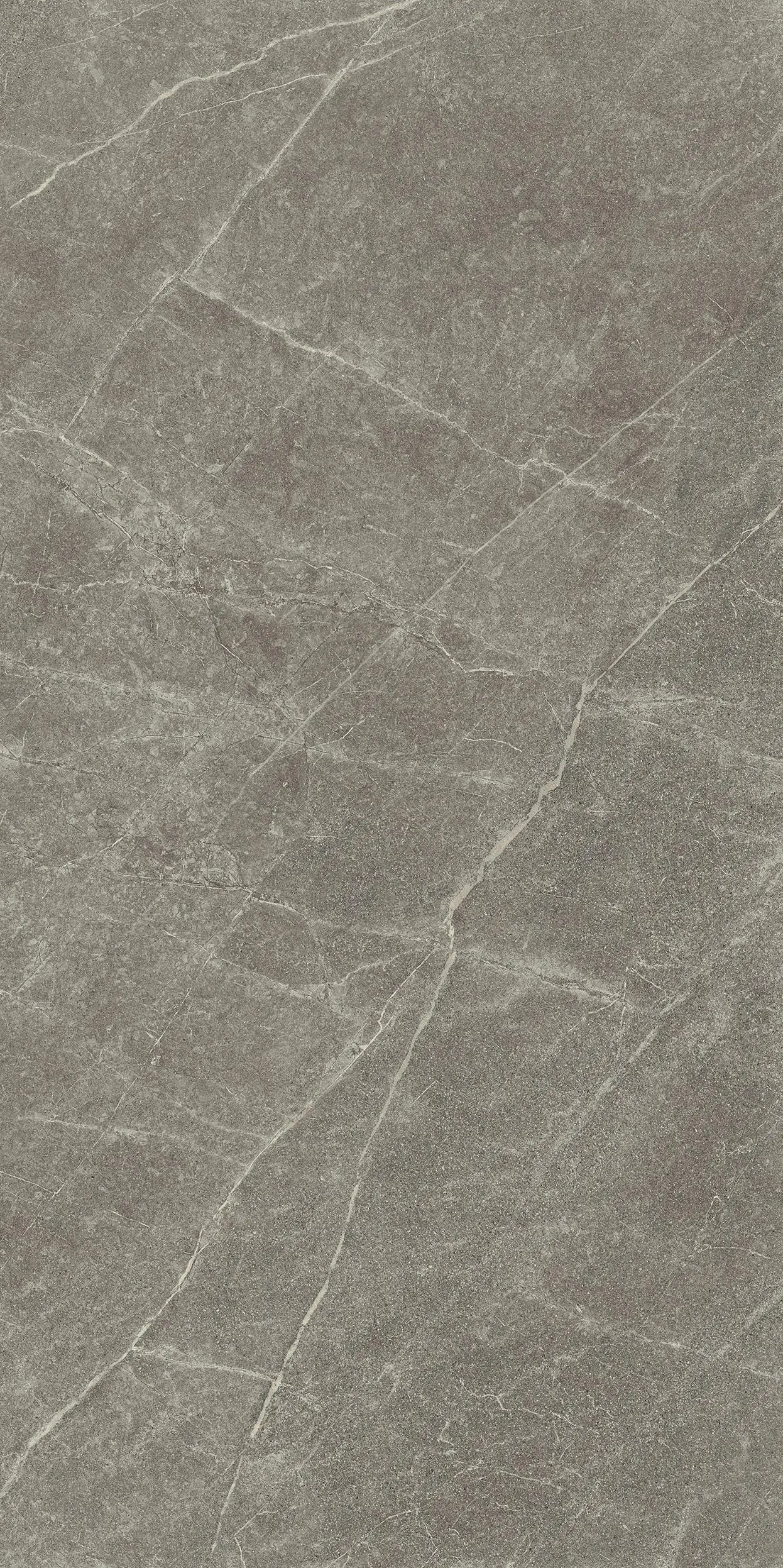 Керамогранит Kerama Marazzi Эстерель серый матовый обрезной 60x119,5x0,9 Серый