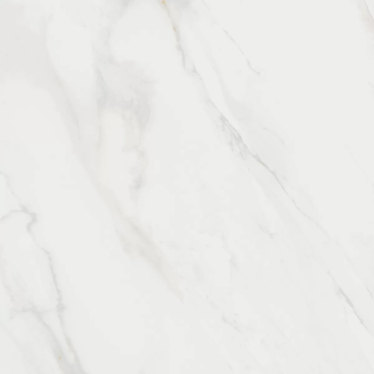 Керамогранит Kerama Marazzi Гран Пале белый50.2x50.2 Белый
