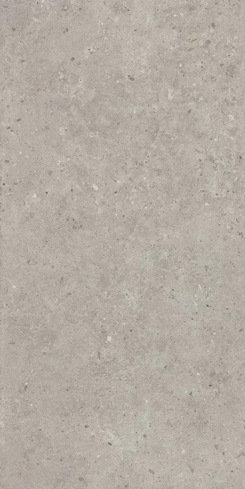 Керамогранит Kerama Marazzi Риккарди серый светлый матовый обрезной 60х119,5 Серый