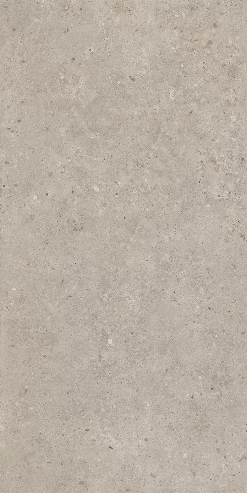 Керамогранит Kerama Marazzi Риккарди бежевый матовый обрезной 60x119,5 Серый